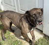162305 Savannah