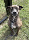 162305 Savannah