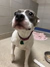 2304-1633 Rylee Jane