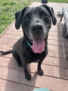 2502-0854 Max