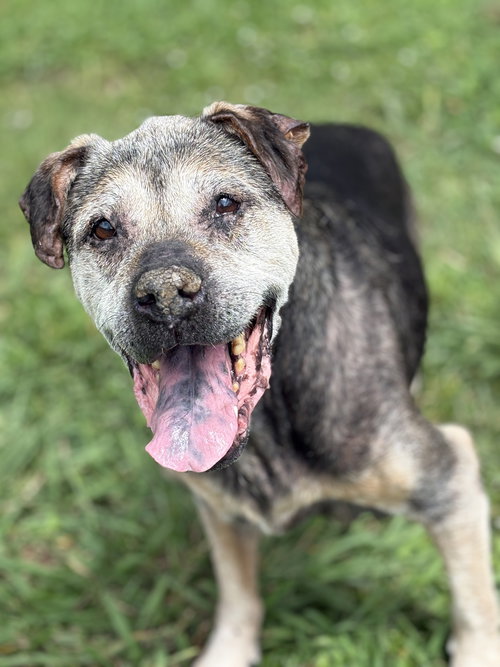 165630 Smoke (Hospice-Off Site Foster)