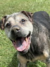 165630 Smoke (Hospice-Off Site Foster)