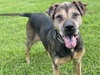 165630 Smoke (Hospice-Off Site Foster)