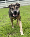 165630 Smoke (Hospice-Off Site Foster)