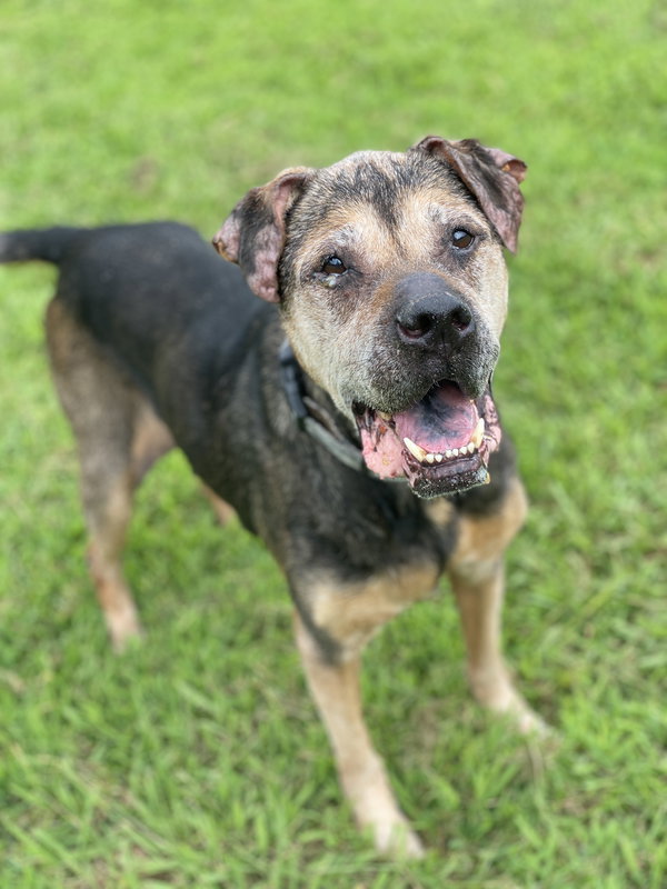 165630 Smoke (Hospice-Off Site Foster)