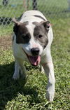 2308-0414 Kinzie