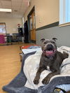 2404-1129 Macy (Off Site Foster)