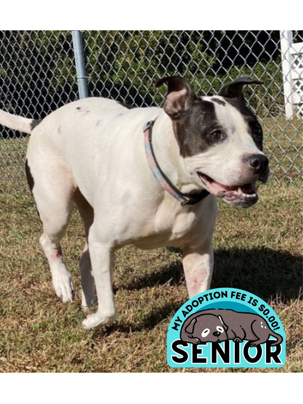 167821 Aubrie (Hospice - Off Site Foster)