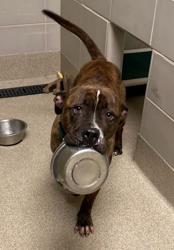 167870 King (Off Site Foster)