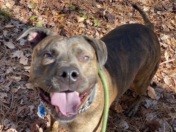 169271 Otis