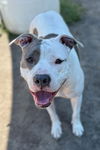2505-0874 Maisie