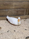 adoptable Duck in , VA named 2409-0525 (Available 9/20)