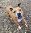 2412-1061 Ember (Off Site Foster)