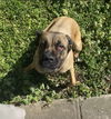 2503-0151 Coco