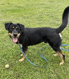 2503-0166 Charlie