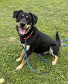 2503-0166 Charlie