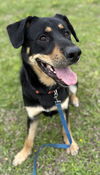2503-0166 Charlie