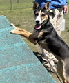 2504-0085 Gio