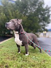 180815 Paul (Off Site Foster)
