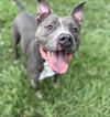 169316 Rocco