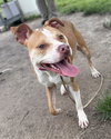 181086 Tia (Off Site Foster)