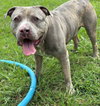 181159 Aaron (Off Site Foster)