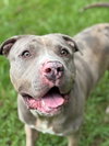 181159 Aaron (Off Site Foster)