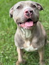 181159 Aaron (Off Site Foster)