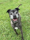 73054 Merecedes FKA Riri (Off Site Foster)