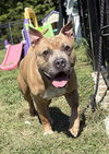 182273 Kilo (Off Site Foster)