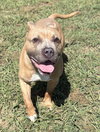 182273 Kilo (Off Site Foster)