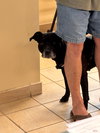 182306 Uno