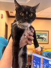 182443 (Off Site Foster)
