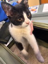 182543 (Off Site Foster)