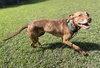 173328 Venus (Off Site Foster)