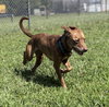 173328 Venus (Off Site Foster)