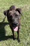 182580 Jesse (Off Site Foster)