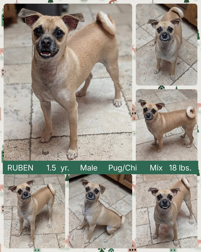 RUBEN