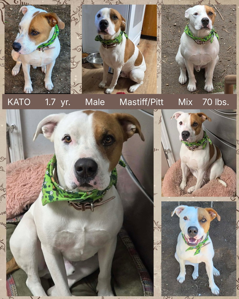 KATO