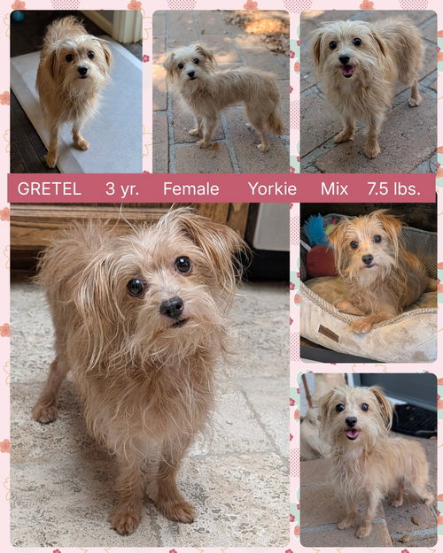 Gretel