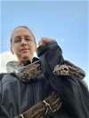 adoptable Snake in uwchland, PA named Skoll