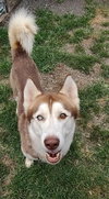 Blaze - Photo 4
