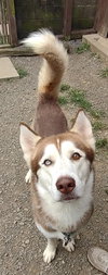 Blaze - Photo 5