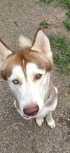 Blaze - Photo 7