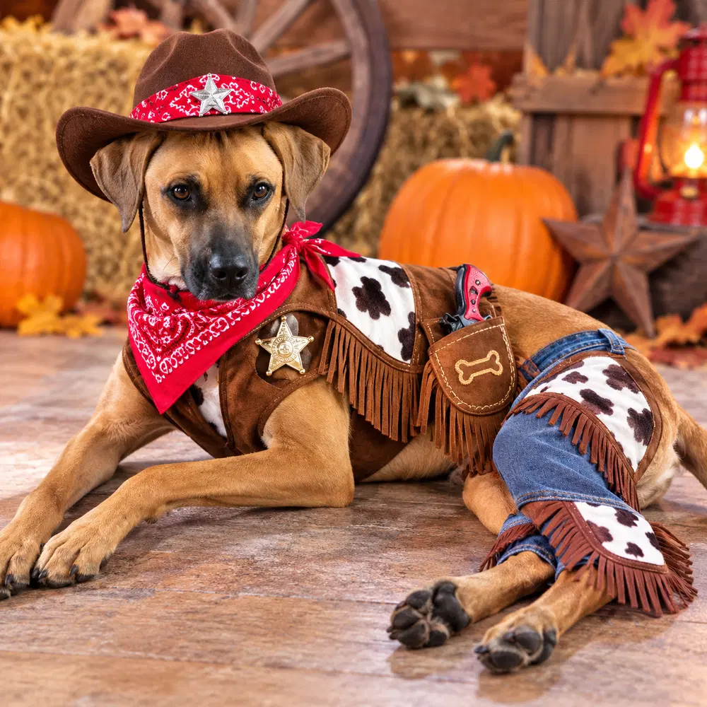 Devin - Hound