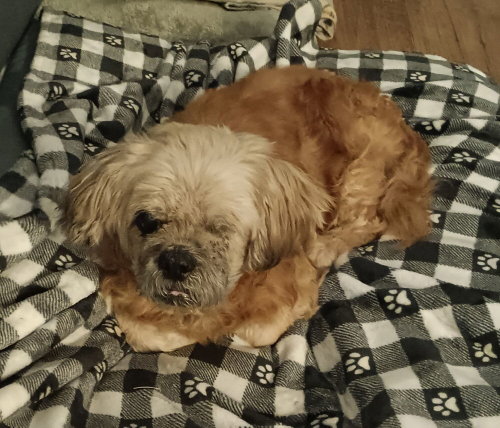 Grandpa Leo, photo 4