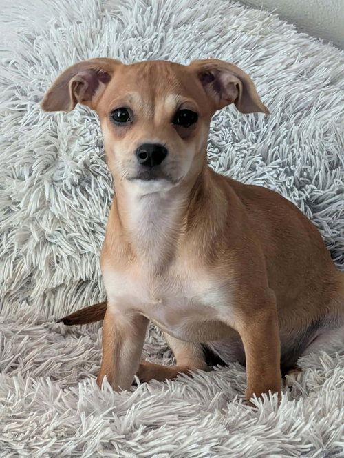 Esther