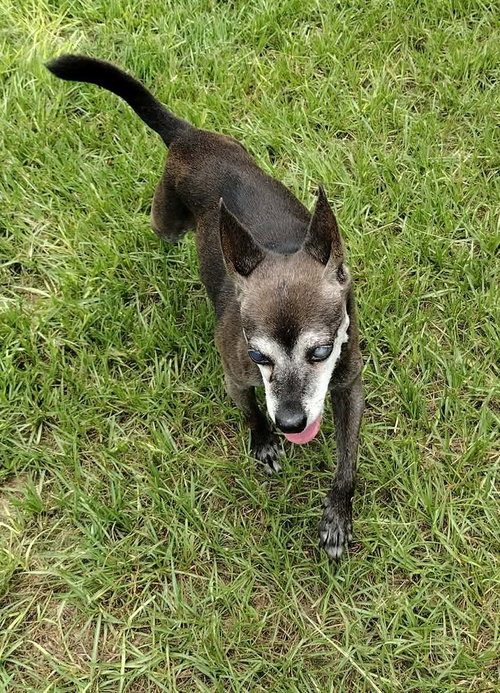 Larissa, photo 3