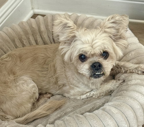 Photo 3 of Dolly Pawton
