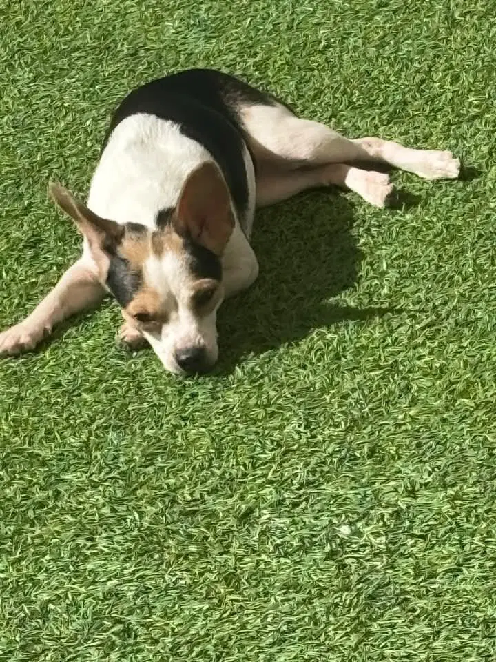 Casper image 2